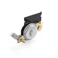Gas Valve and Regulator Assembly