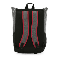 Limited Edition Weber Backpack