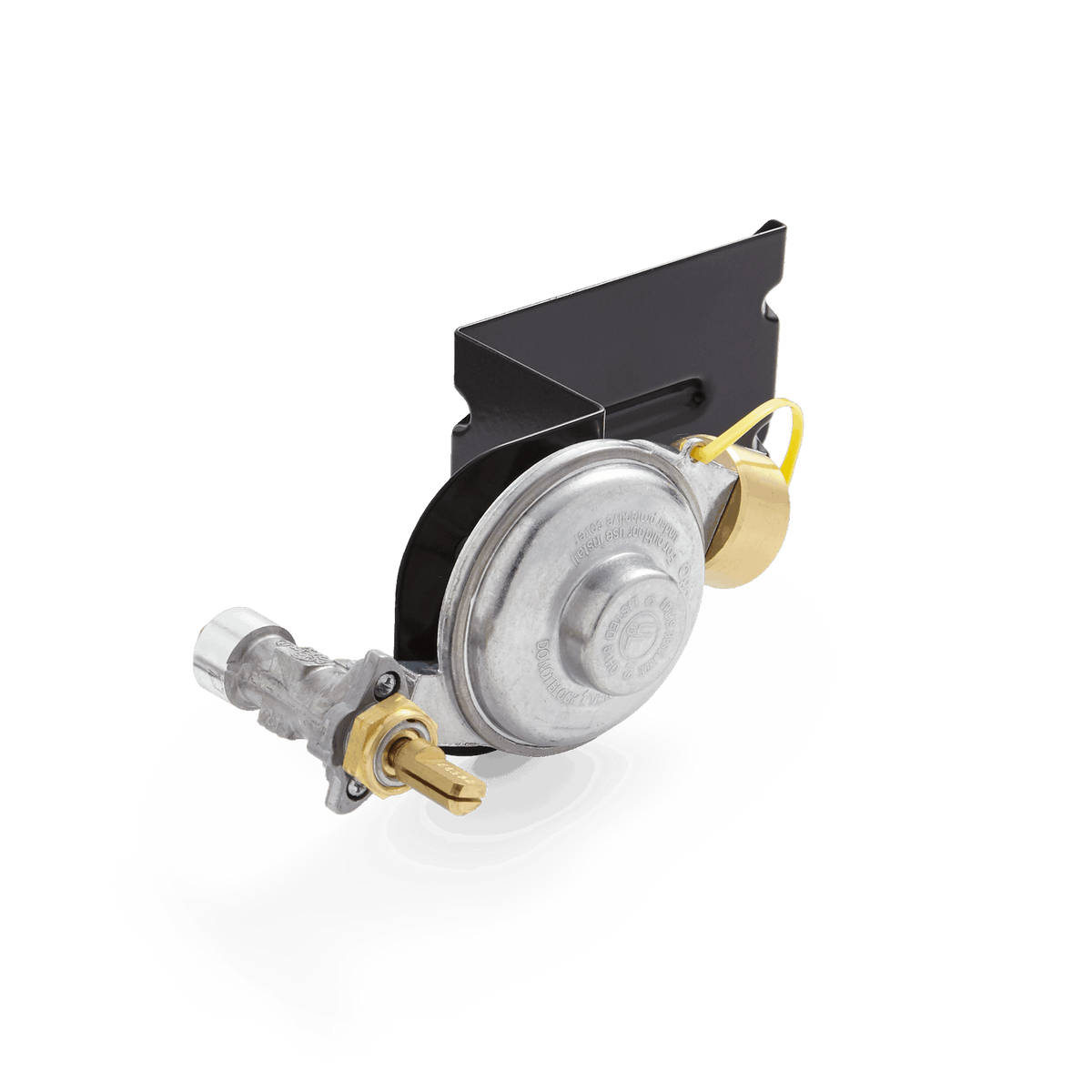 Gas Valve and Regulator Assembly