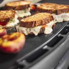 Q 2800N+ Gas Grill (Liquid Propane)