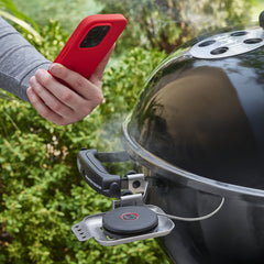 Smart Probe and Grate Sensor