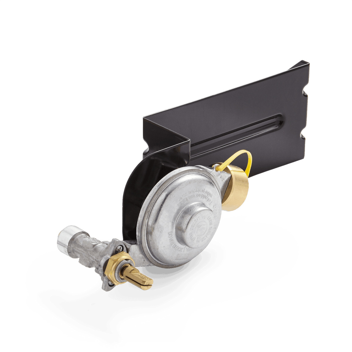 Gas Valve and Regulator Assembly